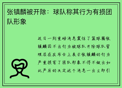 张镇麟被开除：球队称其行为有损团队形象